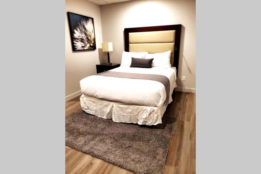 Cozy Sweet Studio #5, Only 10 Min To D.T. Ottawa Gatineau Ngoại thất bức ảnh